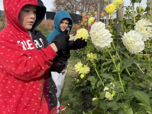 Students learn about Habitats